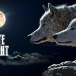 Gute Nacht Wölfe