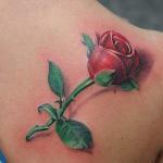Tattoo Rose 18