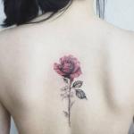 Tattoo Rose Rücken 1