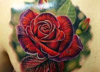 Tattoo Rose Rücken 11