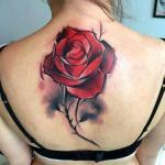 Tattoo Rose Rücken 2