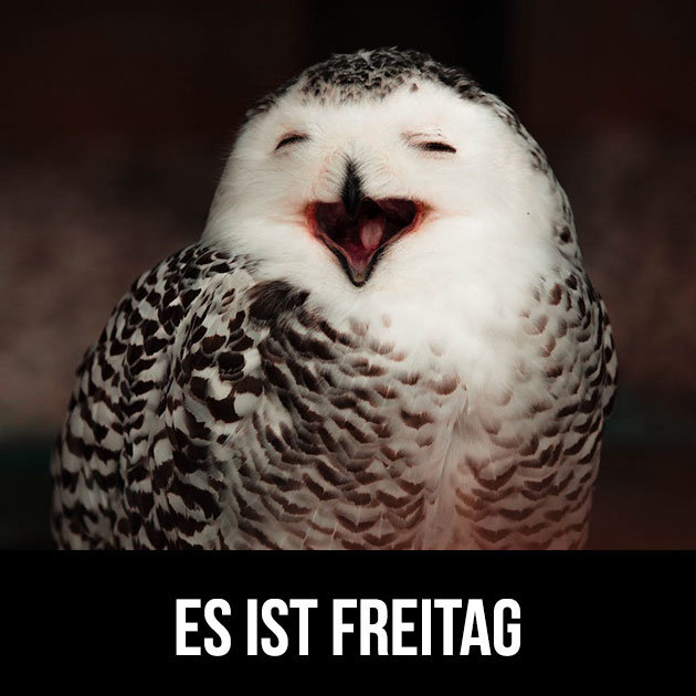 Es ist freitag bilder lustig