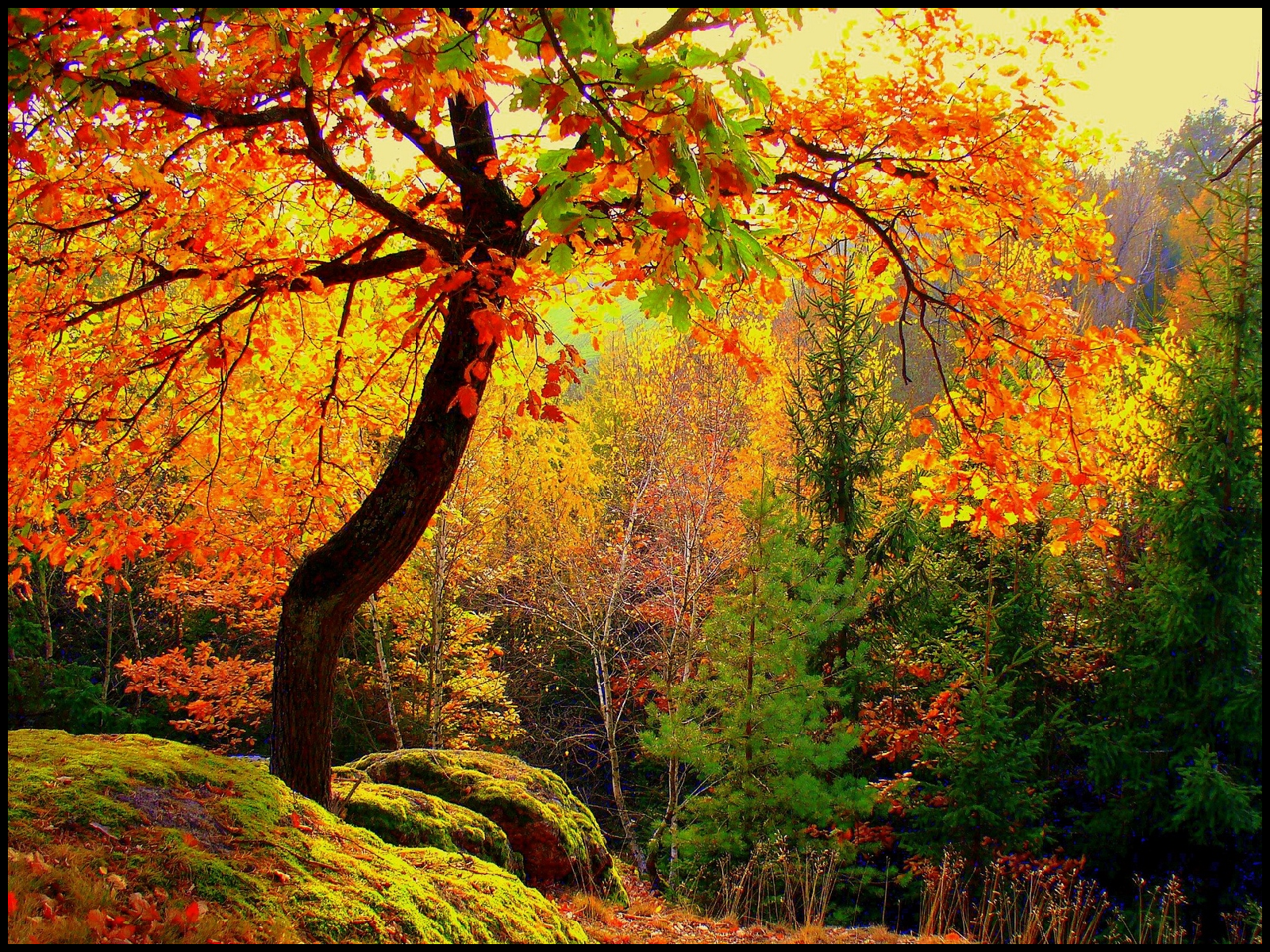 Herbst_Bilder_5